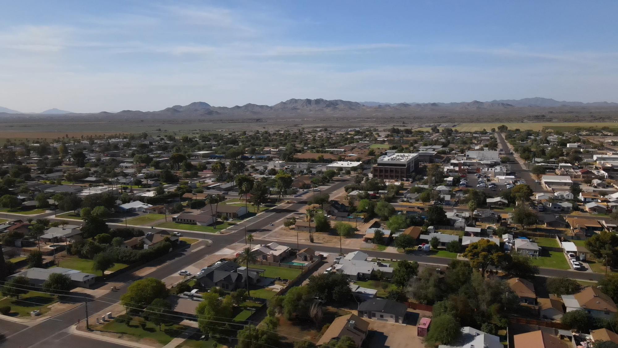 DNA Paternity Services in Buckeye, AZ